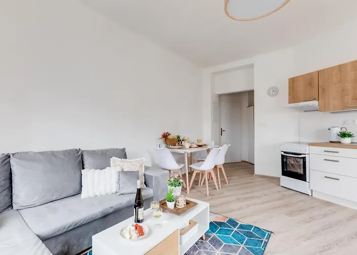 Modern, Bright And Spacious Apartment