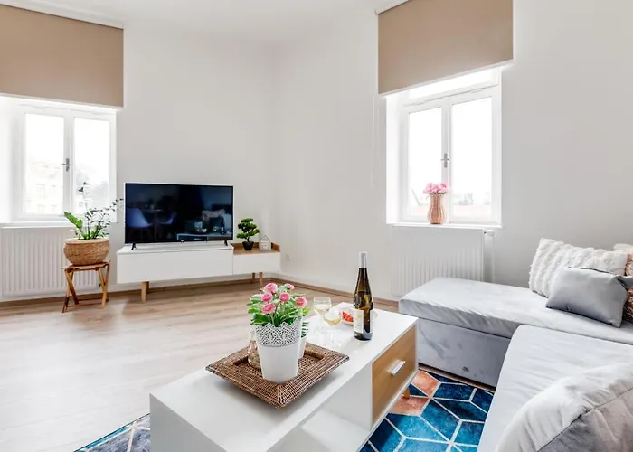 Modern, Bright And Spacious Apartment