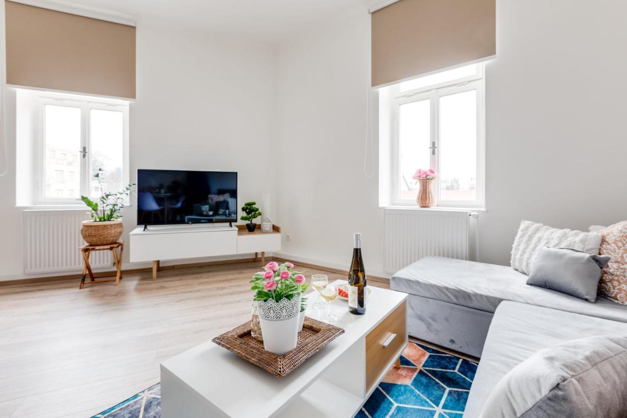 Modern, Bright And Spacious Appartement