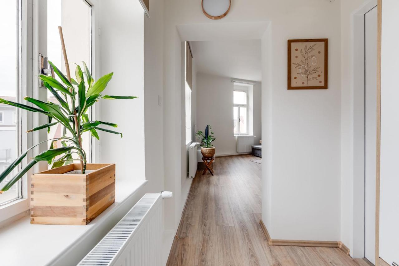 Modern, Bright And Spacious Appartement